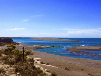 Ballenas, Galeses Y Cordillera